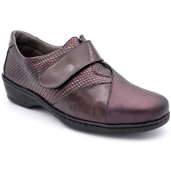 Sapatos Mulher Sapatos & Richelieu Notton 2561 Bordô