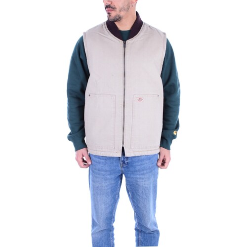 Textil Homem Camisolas e casacos de malha Dickies DK0A4XFX Verde
