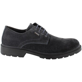 Sapatos Homem Les Petites Bomb IgI&CO 4602511 Azul