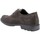 Sapatos Homem Sapatos & Richelieu IgI&CO 4602522 Castanho