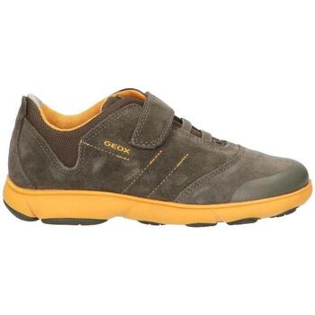 Sapatos Rapaz Multi-desportos Geox J841TA 02214 J NEBULA J841TA 02214 J NEBULA 