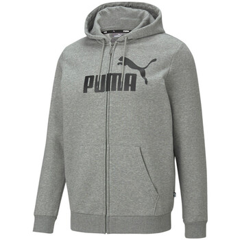 Textil Homem Sweats Puma Wns  Cinza