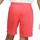 Textil Rapaz Shorts / Bermudas Paris Saint-germain  Vermelho