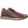 Sapatos Homem Sapatilhas Cetti C1335 Castanho