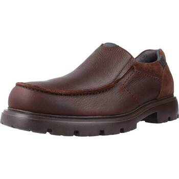 Sapatos Homem Sapatos & Richelieu Pitillos 4930P Castanho