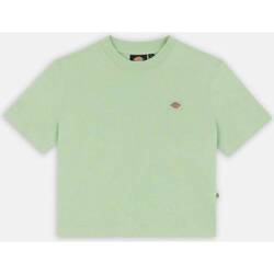 Textil Mulher camisas Dickies OAKPORT BOXY TEE SS W Verde