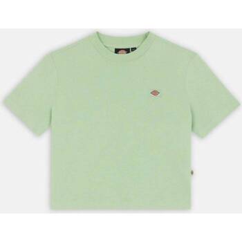 Textil Mulher T-Shirt mangas curtas Dickies OAKPORT BOXY TEE SS W Verde