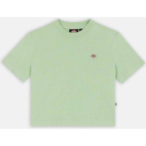 Textil Mulher camisas Dickies OAKPORT BOXY TEE SS W Verde