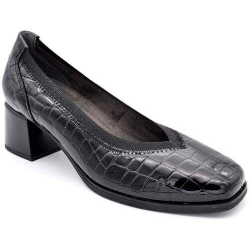 Sapatos Mulher Sapatos & Richelieu Pitillos 5410 Preto