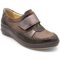 Sapatos Mulher Sapatos & Richelieu Suave 3416 Castanho