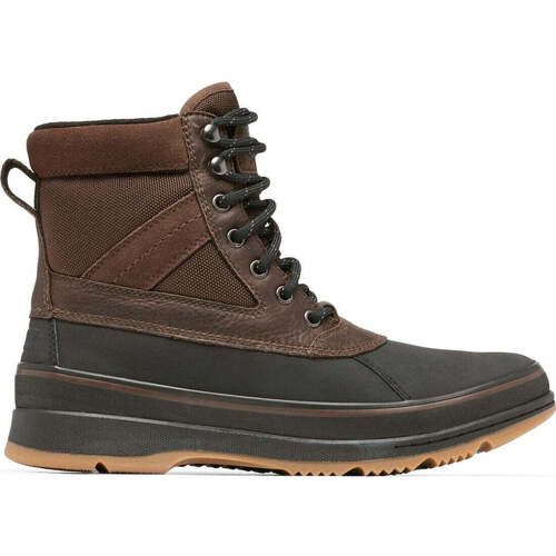Sorel  Castanho