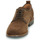 Sapatos Homem Sapatos Pellet FABIO Veludo / Chocolate