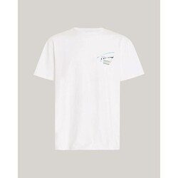 Textil Homem T-Shirt mangas curtas Tommy Hilfiger DM0DM18283YBR Branco