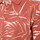 Textil Homem T-shirts e Pólos Kaporal  Laranja