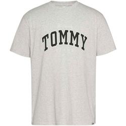 Textil Homem T-Shirt mangas curtas Tommy Jeans  Cinza