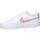 Sapatos Mulher Multi-desportos Nike DH3158-102 Branco