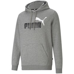 Textil Homem Sweats Puma 58676403 Cinza