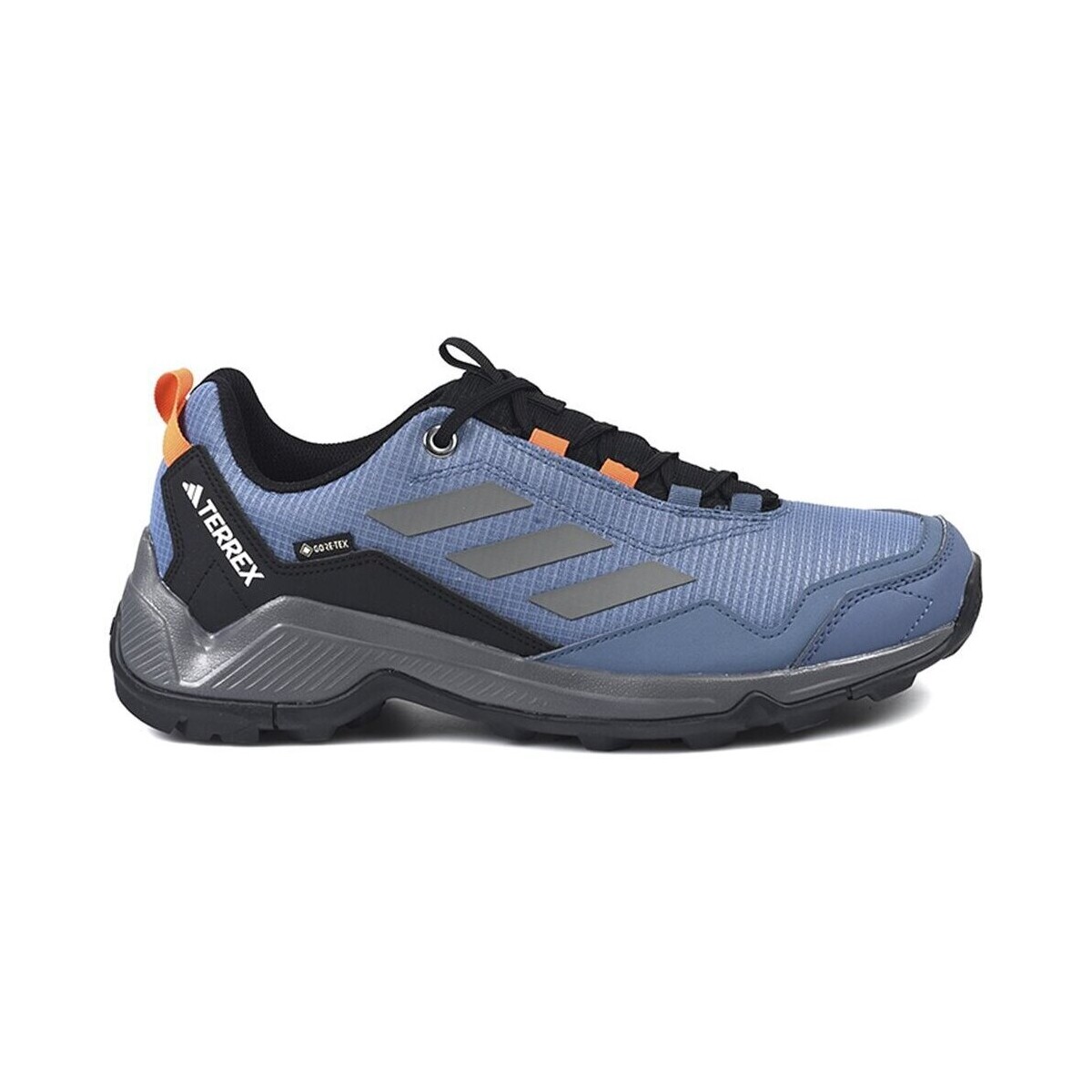 Sapatos Homem Sapatos & Richelieu adidas Performance Zapatillas  Eastrail GTX ID7846 Azul Azul
