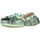 Sapatos Mulher Sapatos & Richelieu 13 09 Sr CAB00003012AE Verde