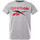 Textil Rapaz T-shirts e Pólos Reebok Sport  Cinza