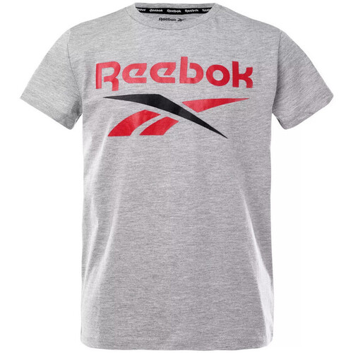 Textil Rapaz T-Shirt mangas curtas Reebok AEROBIC Sport  Cinza