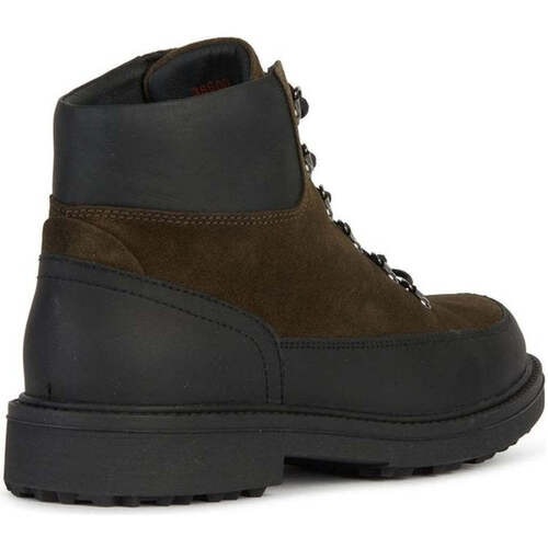 Geox  Verde