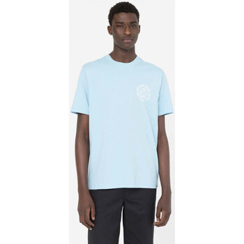 Textil Homem T-shirts Sportswear e Pólos Dickies Bayside gardens tee ss Azul