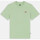 Textil Mulher T-shirts e Pólos Dickies Mapleton ss tee Verde