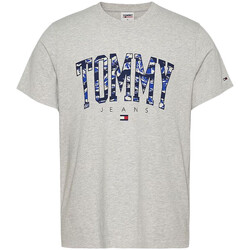 Textil Homem T-shirts e Pólos Tommy Hilfiger  Cinza