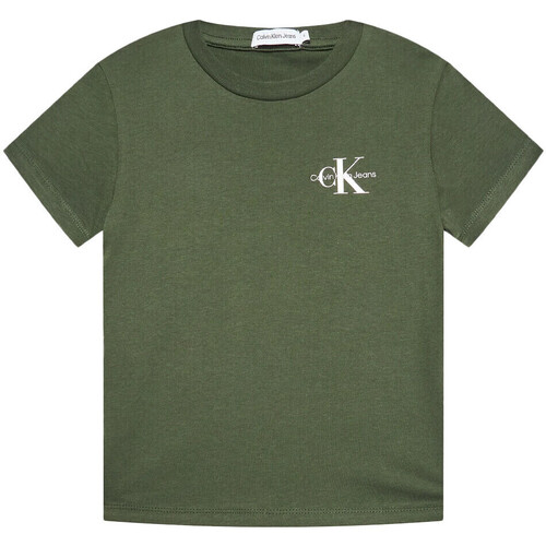 Textil Rapaz T-shirts e Pólos Calvin Klein Jeans  Verde