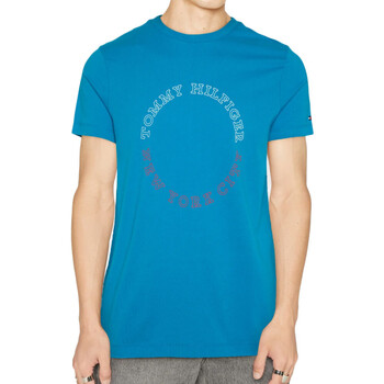 Textil Homem Tommy Jeans tonal NYC photoprint flag print t-shirt in black Tommy Hilfiger  Azul