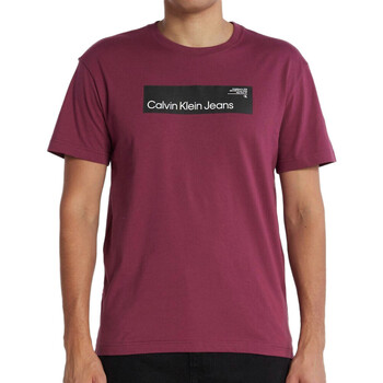 Textil Homem T-shirts e Pólos Tecnologias Calvin klein Hybrid Logo Koszulka Z Krótkim Rękawem  Violeta
