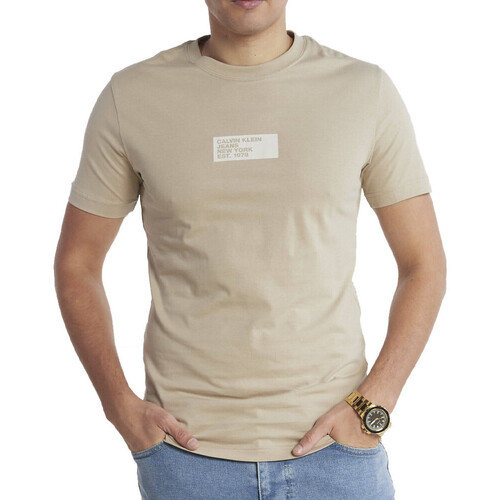 Textil Homem T-shirts e Pólos Calvin Klein Jeans  Bege