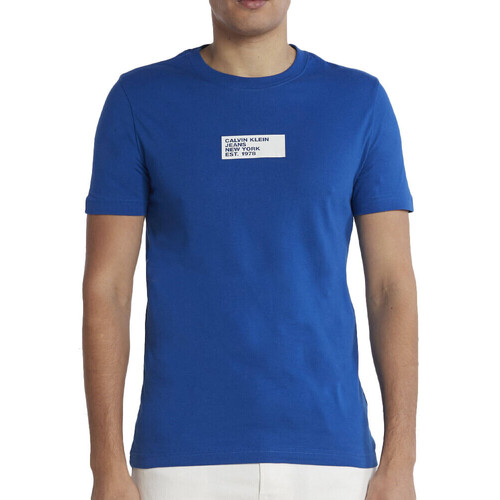 Textil Homem T-shirts e Pólos Calvin Klein Calvin JEANS  Azul