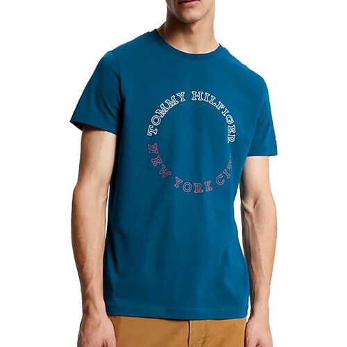Textil Homem Tommy Jeans tonal NYC photoprint flag print t-shirt in black Tommy Hilfiger  Azul