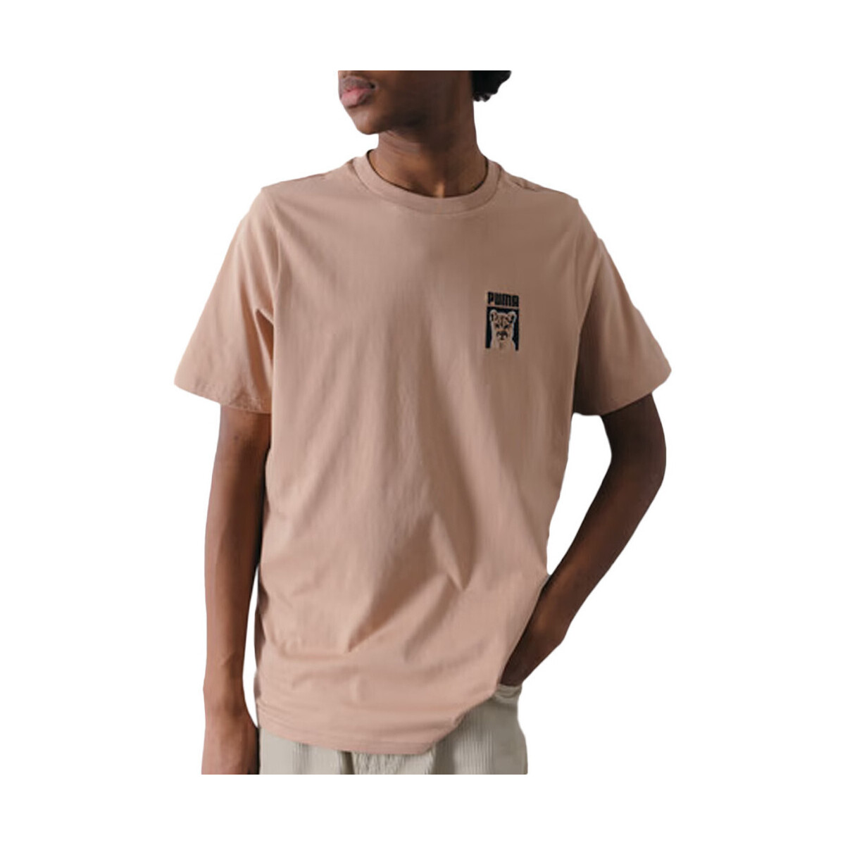Textil Homem T-shirts e Pólos Puma  Bege