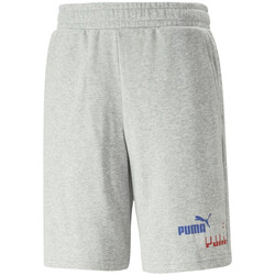 Textil Rapaz Shorts / Bermudas Puma  Cinza