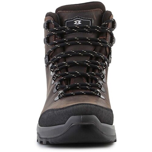 Garmont Syncro Light Plus Gtx Castanho, Preto