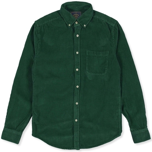 Textil Homem Camisas mangas comprida Portuguese Flannel Camisa Lobo - Green Verde