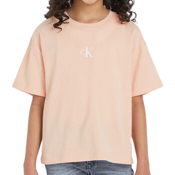 Textil Rapariga T-Shirt mangas curtas Calvin Klein JEANS mountain  Rosa