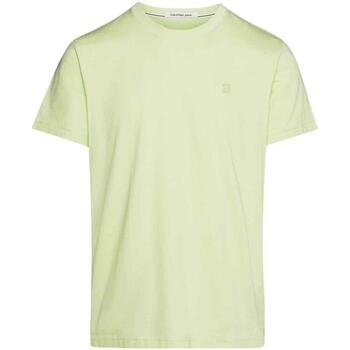 Textil Homem T-Shirt mangas curtas Calvin Klein Jeans  Verde