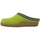Sapatos Mulher Chinelos Haflinger GRIZZLY FRANZL Verde