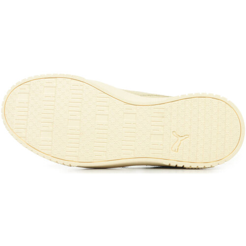 Puma Carina 2.0 Sd Bege