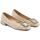 Sapatos Mulher Sapatos & Richelieu Alma En Pena I23109 Castanho