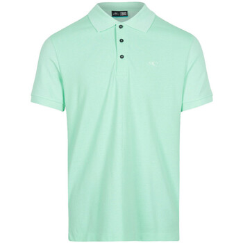 Textil Homem T-shirts Standard e Pólos O'neill  Verde