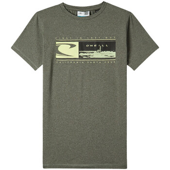 Textil Rapaz product eng 32682 Alpha Industries Basic T Small Logo Neon Print T shirt O'neill  Verde