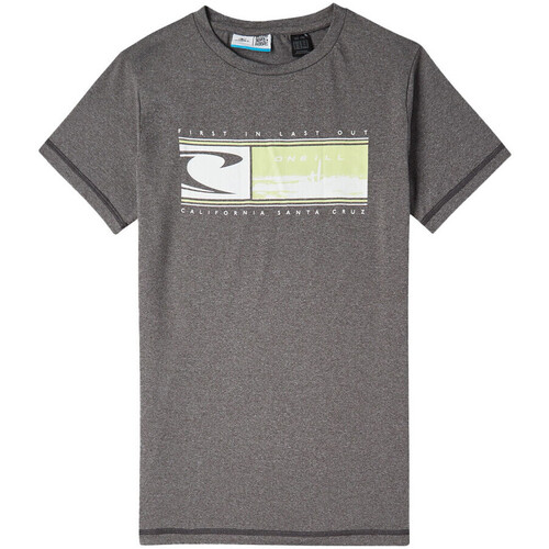 Textil Rapaz product eng 32682 Alpha Industries Basic T Small Logo Neon Print T shirt O'neill  Cinza