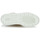 Sapatos Mulher Botas baixas Geox D DALYLA B ABX Castanho / Branco