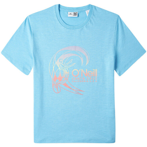 Textil Rapaz product eng 32682 Alpha Industries Basic T Small Logo Neon Print T shirt O'neill  Azul