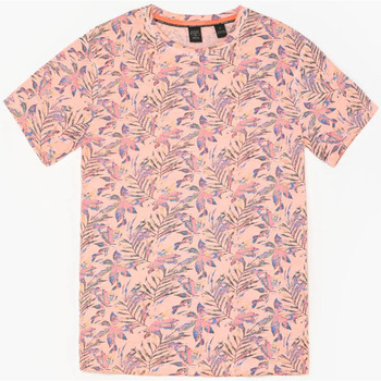 Textil Homem T-shirts e Pólos Franklin & Marsh T-shirt ABEL Rosa